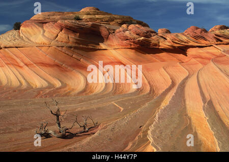 Zweite Welle, die USA, Arizona, Utah, Paria Canyon, Vermillion Cliffs Wilderness, Sandstein, Stockfoto