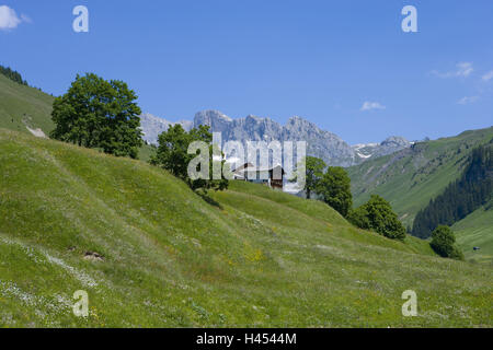 Schweiz, Bündner, Prättigau, Kreuzgang, St. Antönien, Almen, Stockfoto