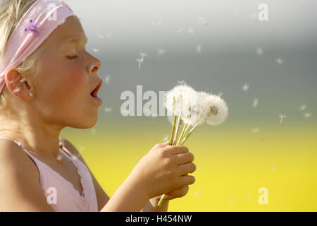 Mädchen, Blätterteig Blumen, Blätterteig, Porträt, gewellt, Lauffläche, Seitenansicht, Menschen, Kind, Blond, Haarband, Spitze, rosa, Hand, halten, Ohr Stecker, Ansicht, Blumen, mehrere, Löwenzahn, Fadeds, Flug-Samen, Samen, fliegen, spielen, Natürlichkeit, Sommer, Saison, unbeschwert, draußen, Allergie, Allergie, polling, wieder Licht, Sonne, Natur, Natur Pflanze Seite Porträt, polling Stockfoto