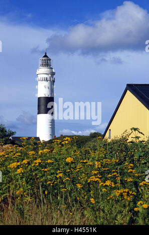 Deutschland, Schleswig - Holstein, Insel Sylt, Kampen, Leuchtturm, Haus, Detail, Blumen, Baken, Turm, Architektur, Meer Figur, Navigation, Navigation, Küste, Orientierung, Orientierung, Navigation, Navigationshilfe, Himmel, blau, draußen, menschenleer, der Nordsee-Insel-Nordsee Stockfoto