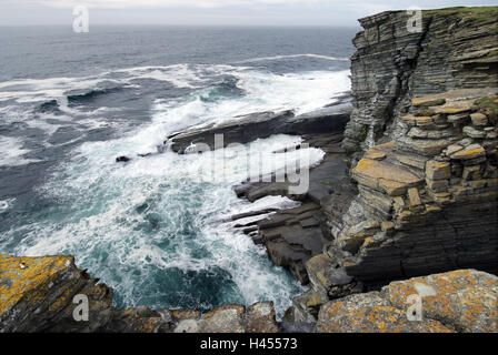 Großbritannien, Schottland, Orkneyinseln, Insel Brough Birsay, Galle Küste, Meer, Orkney, Ort von Interesse, Natur, Landschaft, Wasser, Meer, Surf, Rock, Küstenlandschaft, steile Küste, Steilfelsen, Tourismus, draußen, menschenleer, Stockfoto