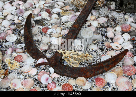 Sigurborg Garten, Muschel-Sammlung, Anker, Island, Stockfoto