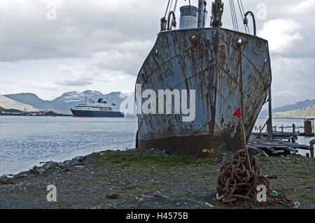 Südgeorgien, Grytviken, Küste, alte Wal Bearbeitungsstation, Schiffswrack, Kreuzfahrtschiff im Hintergrund Stockfoto