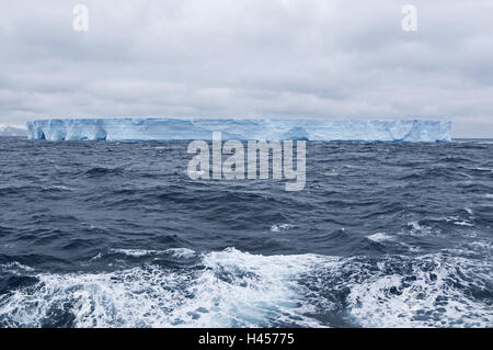 South Shetland, Elephant Island, Eisberg, Schwarzes Brett Eisberg, Meer, Stockfoto