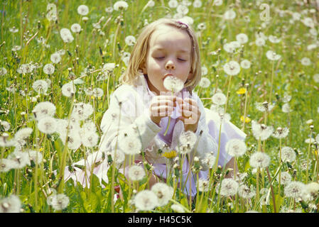 Mädchen, sitzen, Blätterteig Blätterteig Blumen, Blumenwiese, Person, Kind, Kind, Sommer, sommerlich, sonnig, außen, Wiese, Pflanzen, Blumen, Löwenzahn, Natur, Kindheit, Schlag, Ganzkörper, Freizeit, Konzeption, Allergie, Polling-Flug, Pollinosises, Stockfoto