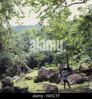 Französisch-Polynesien, Nuku Hiva, Hatiheu, Holz, Tourismus, Natur, Landschaft, Steinen, Felsen, Lavagestein, Person, Urlaub, Ort von Interesse, Ziel, Ziel, Tourismus, Stockfoto