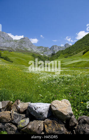 Schweiz, Bündner, Prättigau, Kreuzgang, St. Antönien, Almen, Stockfoto