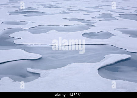 Nordpolarmeer, Packeis, Glasur Pool für nur zur redaktionellen Verwendung, Expedition, Alfred-Wegener-Institut, polar Research, Stockfoto