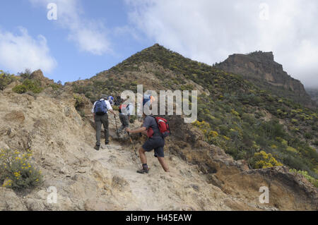 Model-Release Las Nieves, Gruppe, keine Spanien, Kanarische Inseln reisen, Korn Canaria, Cumbre Gebirge, Pico de Insel, Stockfoto