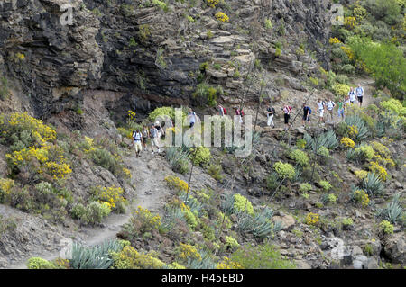 Model-Release Las Nieves, Gruppe, keine Spanien, Kanarische Inseln reisen, Korn Canaria, Cumbre Gebirge, Pico de Insel, Stockfoto