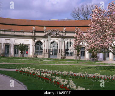 Deutschland, Bayern, Erlangen, Orangerie, Mandelbaum, Prunus Dulcis, Mittelfranken, Gebäude, Haus, Anlage, Park, Blumenbeet, Blumen, Frühling, Baum, Blüte, Rasen, Baustil, Barock, Architektur, Sehenswürdigkeit, Weg, verlassen, draußen, Pflanzen, Pflanze Patch, Eingang, Zeitraum blühen, Mandelblüte, Stockfoto