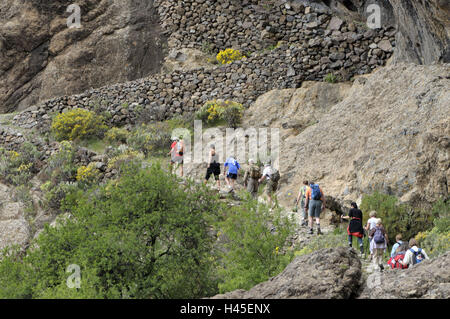 Model-Release Las Nieves, Gruppe, keine Spanien, Kanarische Inseln reisen, Korn Canaria, Cumbre Gebirge, Pico de Insel, Stockfoto