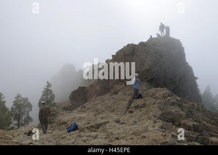 Model-Release Las Nieves, Wanderer, Gipfel, Spanien, Kanarische Inseln, Insel Korn Canaria, Cumbre Gebirge, Pico de, Stockfoto