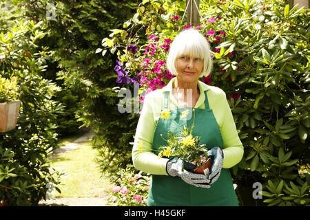 Senior, Schürze, Handschuhe, Topfpflanzen, Blumen, halten, Garten