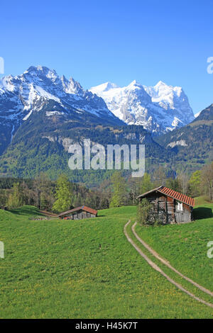 Schweiz, Kanton Bern, Berg Hasli, Berglandschaft, Frühling, Berge, Berge, Almen, Holzhütte, Hütte, Berg Holz, Natur, Zurückgezogenheit, Einsamkeit, Idylle, Natur, Gebirgsmassiv, Gassen, Feldweg, Stockfoto