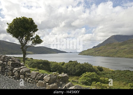 Irland, Connemara, Killary Harbour Fjord, Landschaft, menschenleer, Connacht, Galway, Connemara, Fjord, Wasser, Baum, einzeln, Steinen, bewölkten Himmel, Ausfahrt, Einsamkeit, Stockfoto