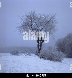 Baum, Hochsitz, verschneite Winterlandschaft, Stockfoto