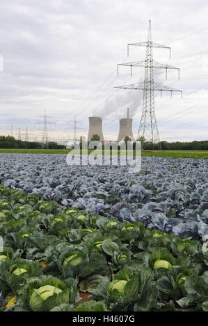 Deutschland, Bayern, Kernkraftwerk Grafenrheinfeld (Stadt), Kühlung, Türme, Rauch, Kohlkopffeld, Unterfranken, Grafenrheinfeld (Stadt), Atomkraftwerk, Kernenergie, Dämmerung, Problem, Energie, Energieerzeugung, Gefahr, Kraftwerk, Risiko, Türme, Umweltverschmutzung, Strom, Strommasten, Stromleitungen, Übertragungsleitung, laufende Produktion, Icon, Dampf, Dampf, Wirtschaft, Industrie, Feld, Anbau, Kohl, Rotkohl, Saison, Herbst, Stockfoto