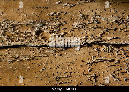 Holzfassade, Küchenschrank, altes Schloss, Holzwurm Tracks, Nahaufnahme, Stockfoto