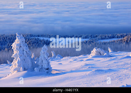 Deutschland, Sachsen-Anhalt, Nationalpark Harz, morgen tuning auf der Klumpen, winter, Stockfoto