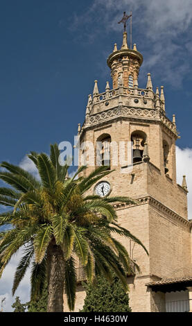 Spanien, Provinz Málaga, Andalusien, Ronda, Kirche Santa Maria ein Bürgermeister, Palm, Stockfoto