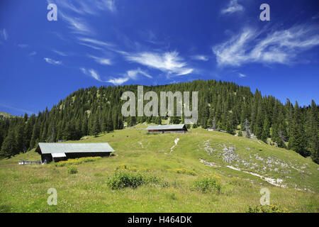 Deutschland, Bayern, Karwendel, Berglandschaft, Krüner Alm, Süddeutschland, Oberbayern, Karwendelgebirges, Werdenfels, Krün, ländlich, Hütte, Almhütte, Berghütte, Landschaft, Berge, Alpen, Berge, Himmel, Wolken, Holz, Wiese, Alm, Stockfoto