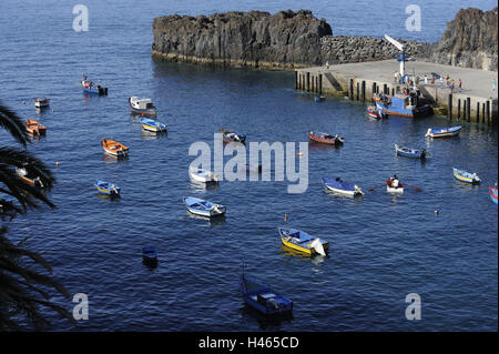 Portugal, Madeira Insel, Camara de Lobos, Hafen, Angelboote/Fischerboote, Stockfoto