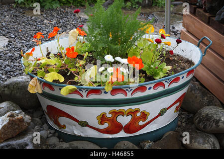 Zink-Wanne, Farben, Pflanzen, Sigurborg Garten, Island, Stockfoto