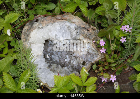 Sigurborg Garten, Stein Collection, Island, Stockfoto