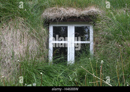 Spatenstich Haus, Holar, Island, Nahaufnahme, Detail, Stockfoto