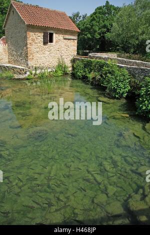 Kroatien, Dalmatien, Sibenik-Knin, Krka Nationalpark, Haus, Teich, Fische, Stockfoto