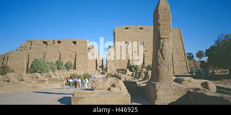 Ägypten, Luxor, Karnak, Amon Tempel, Tourist, kein Model-Release, Tempel, Tempelanlage, Struktur, Sphinx-Allee, Widder Allee, Widder Allee, Tourismus, Ort von Interesse, Reisegruppe, Person, Panorama, Stockfoto