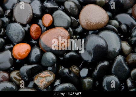 Kiesel, nass, detail, Island, Lavasteine, Lavastein, Lava-Stein, Kies, Steinen, schwarz, braun, Orange, Hintergrund, gerundet, Stockfoto