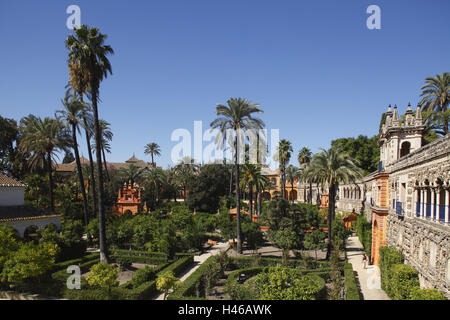 Spanien, Andalusien, Sevilla, Königspalast Alcazar, Stockfoto