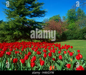 Greenwich Park in London Stockfoto