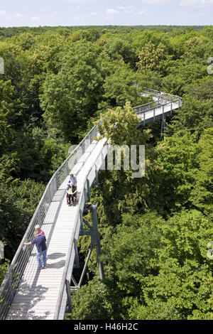 Deutschland, Thüringen, Nationalpark Hainich, Baumzipfelweg, Besucher, Natur, Bäumen, Baumkronen, Wald, Laubwald, grün, Anziehungskraft, Attraktion, draußen, Sommer, Menschen, Hochweg, Tourismus, touristische Attraktion, Baumwipfelpfad, Baumkronenweg, Weg, Wal Stockfoto