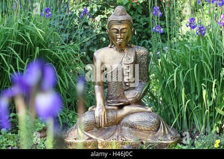 Buddha Figur, Garten, Schwertlilien, Stockfoto