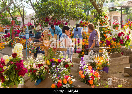 Menschen knüpfen zwischen Gräbern, verziert mit aufwendigen floralen Pedal Wandteppiche zu Ehren des Verstorbenen auf dem Friedhof San Antonino Castillo im Laufe des Tages von den Dead Festival bekannt als D'a de Muertos am 3. November 2013 in San Antonino Castillo Velasco, Oaxaca, Mexiko. Stockfoto