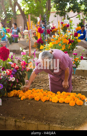 Eine ältere Frau ziert das Grab eines lieben Menschen mit Blumen zu Ehren des Verstorbenen auf dem Friedhof San Antonino Castillo im Laufe des Tages von den Dead Festival bekannt als D'a de Muertos am 3. November 2013 in San Antonino Castillo Velasco, Oaxaca, Mexiko. Stockfoto