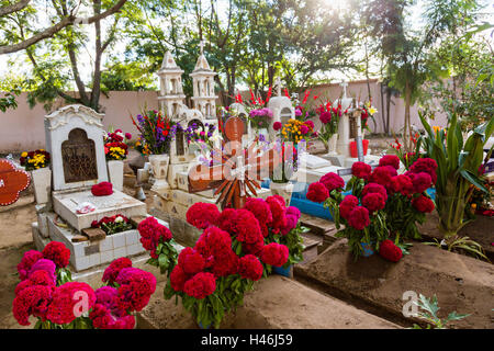 Gräber geschmückt mit aufwendigen floralen Pedal Wandteppiche zu Ehren des Verstorbenen auf dem Friedhof San Antonino Castillo im Laufe des Tages von den Dead Festival bekannt als D'a de Muertos am 3. November 2013 in San Antonino Castillo Velasco, Oaxaca, Mexiko. Stockfoto