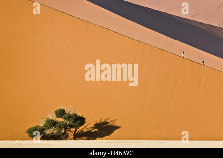 Afrika, Namibia, Sossusvlei, Namib-Wüste, Dünen, Düne 45, Sand, Tourist, Baum, Stockfoto