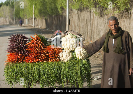 Ägypten, Kairo, Sakkara mit Gizeh, Bauern, Gemüse Karren, Stockfoto