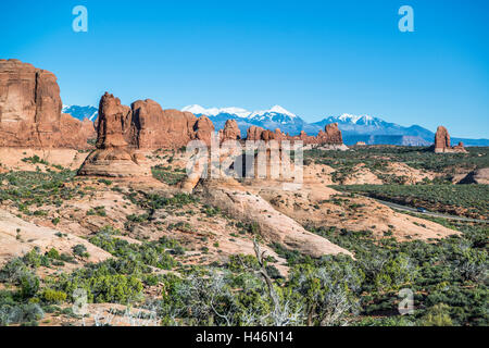 Garten Eden, Arches-Nationalpark, Utah, USA Stockfoto