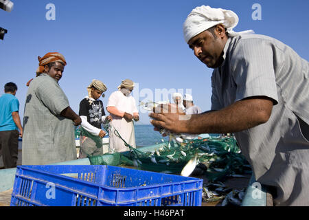 Oman, Region al-Batina, Fischer, Fischen, platzieren, Barka, Sultanat, Monarchie, Männer, Menschen, lokale, einheimische, Araber, Fang, Fisch, Fischerboot, Boot, Angeln, Netz, Netzwerk, Strand, Meer, Küste, Kopfbedeckungen, Tücher, Turban, Stockfoto