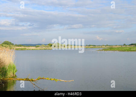 Altmühl-See, Muhr im See, Wasser, Sonnenschein, Wolken, Deutschland, Bayern, Stockfoto