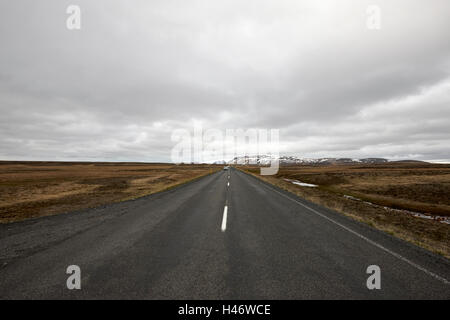 Thingvallavegur Route 36 Straße durch Thingvellir golden Circle Island Stockfoto