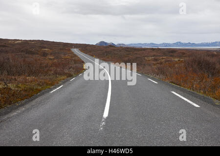 Thingvallavegur Route 36 Straße durch Thingvellir golden Circle Island Stockfoto