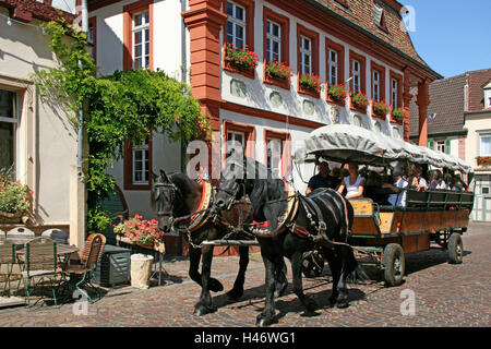 Deutschland, Rheinland-Pfalz, Freinsheim, Deutsche Weinstraße, der Pferdekutsche, Tourist, Pferd und Wagen, Person, Rathaus, Wein-Dorf, Weingebiet, Weinland, Weinstraße, Rathaus, außerhalb, Tourismus, Stockfoto