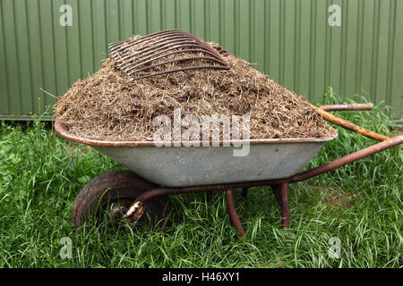 Bauernhof, Karren mit Kot, Stockfoto