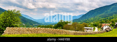 Lange Holzstapel in französischen Alpen in der Nähe von Chambéry Stockfoto